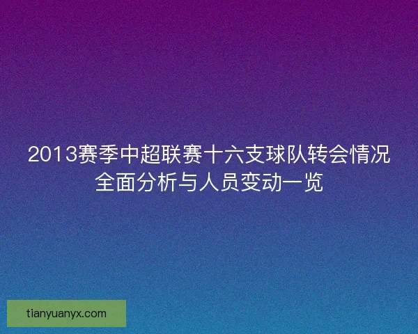 2013赛季中超联赛十六支球队转会情况全面分析与人员变动一览