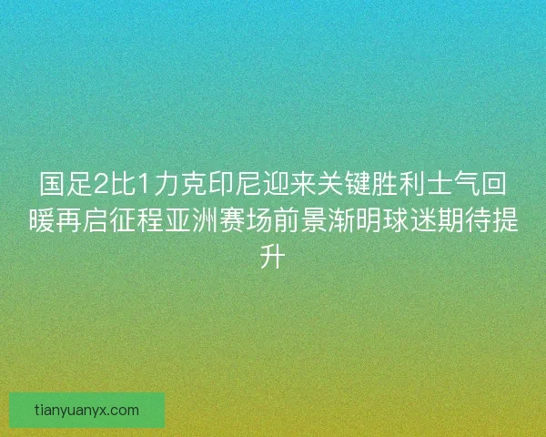 国足2比1力克印尼迎来关键胜利士气回暖再启征程亚洲赛场前景渐明球迷期待提升